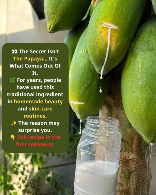 Stop Wasting It! The Hidden Papaya Secret That Forces Your Gut to Digest Heavy Meals Instantly