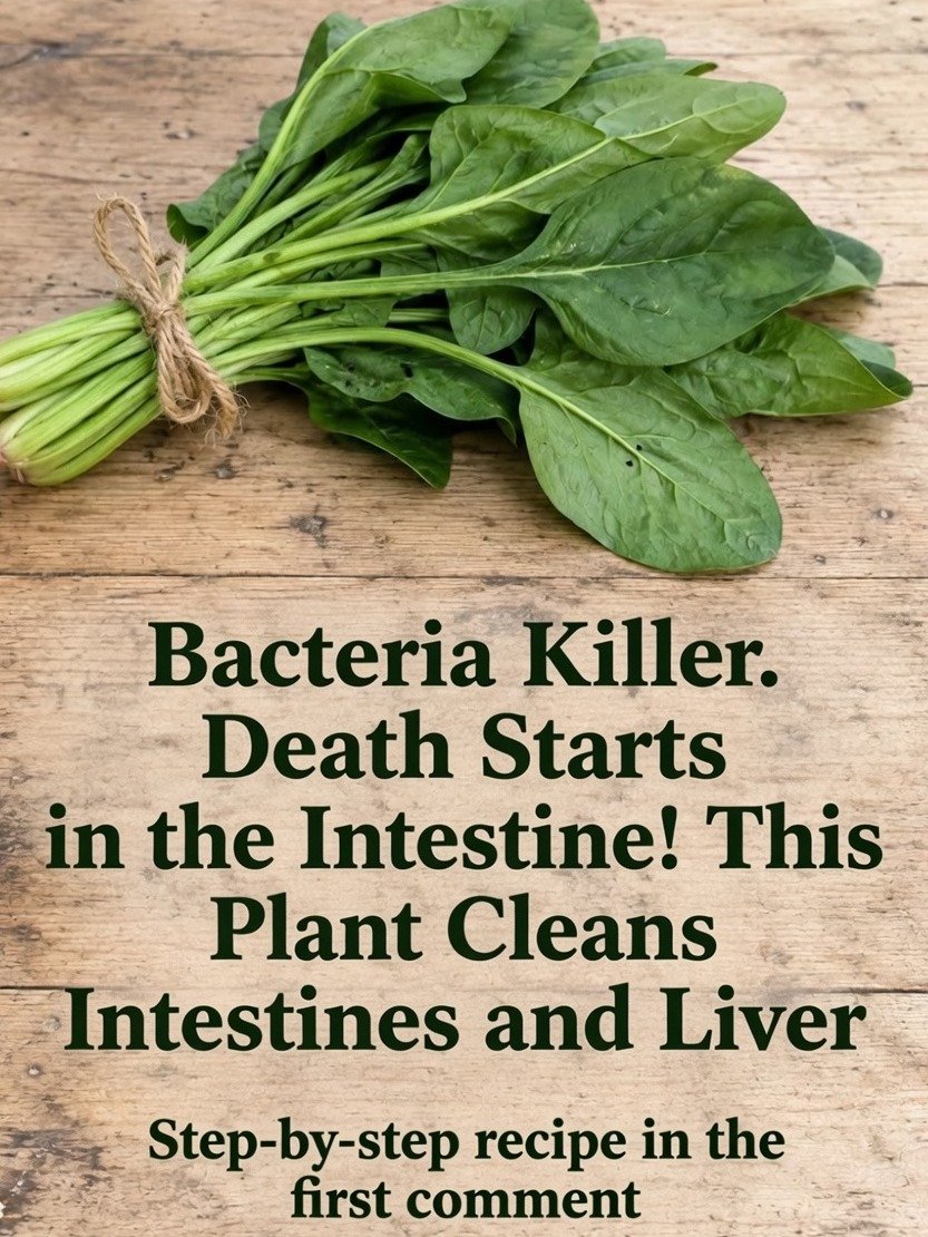STOP Believing the Hype: Spinach Won't 'Cleanse Your Colon,' But Its TRUE Powers Will SHOCK You!