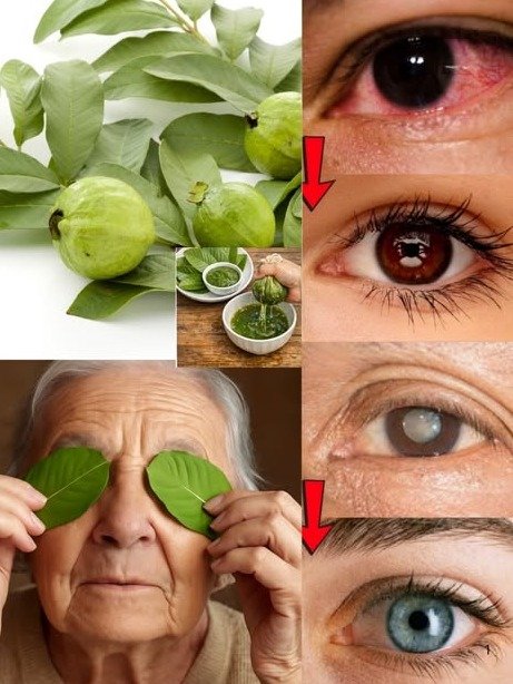 The ONE Tropical Fruit That Can REVOLUTIONIZE Your Eye Care (And How to Use It Safely!)