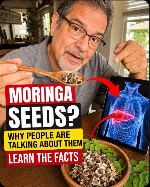 Don't Miss Out: The 6 Anti-Cancer Seeds Seniors Need to Know NOW (They Trigger a Total Body Reset!)