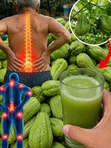 Forget Costly Superfoods! This Humble Green Gem Is the Secret to Unlocking Your Health (And It's Surprisingly Cheap!)