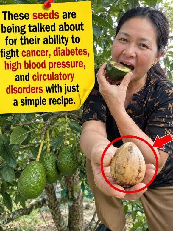 You're Tossing a Goldmine! The Avocado Seed Secret That Could Transform Your Blood Sugar, Pressure, and Circulation