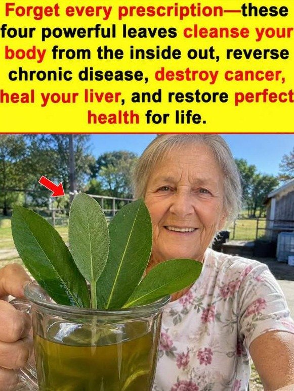 The 4-Leaf 'Internal Flush' That Resets Your Blood Sugar, Circulation, and Liver