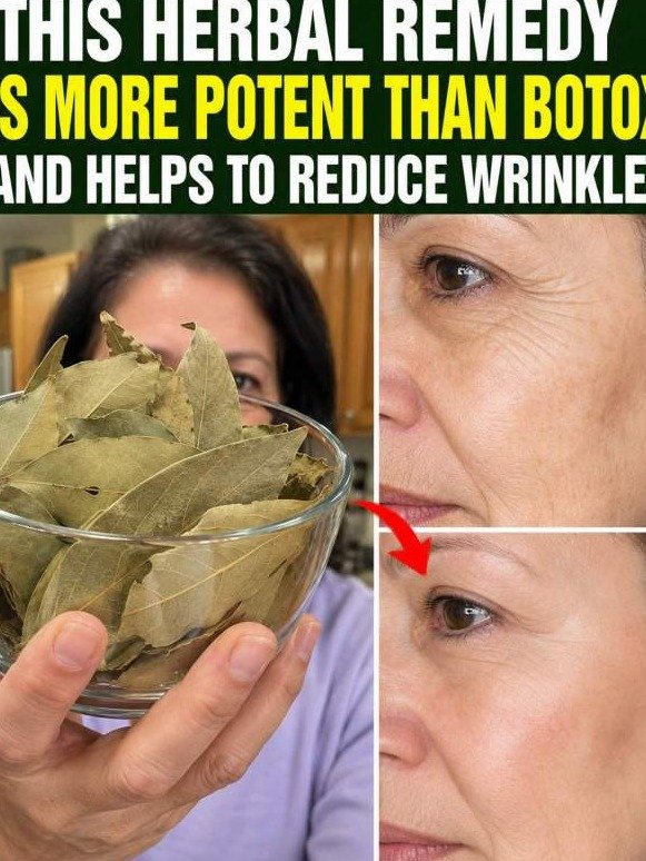 The #1 Kitchen Secret for Ageless Skin? How Bay Leaf Oil Can Flood Dry Cells for a Visibly Firmer, Youthful Look!