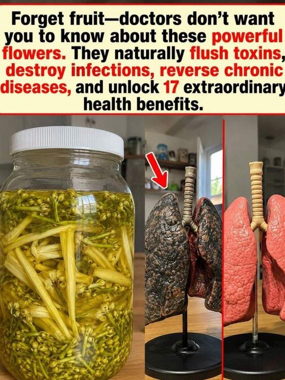 The Forgotten Lung 'Flush': Why Papaya Flowers Are the Secret Weapon You Need