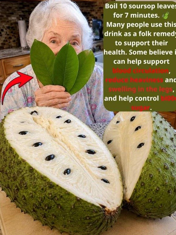 WARNING: Boil Soursop Leaves for 7 Minutes and Watch Your Sluggish Circulation & Wild Blood Sugar TRANSFORM!