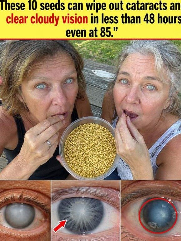 The 10-Seed Secret: Could This Tiny Kitchen Staple Be the Key to Clearing Blurry, Cloudy Vision?