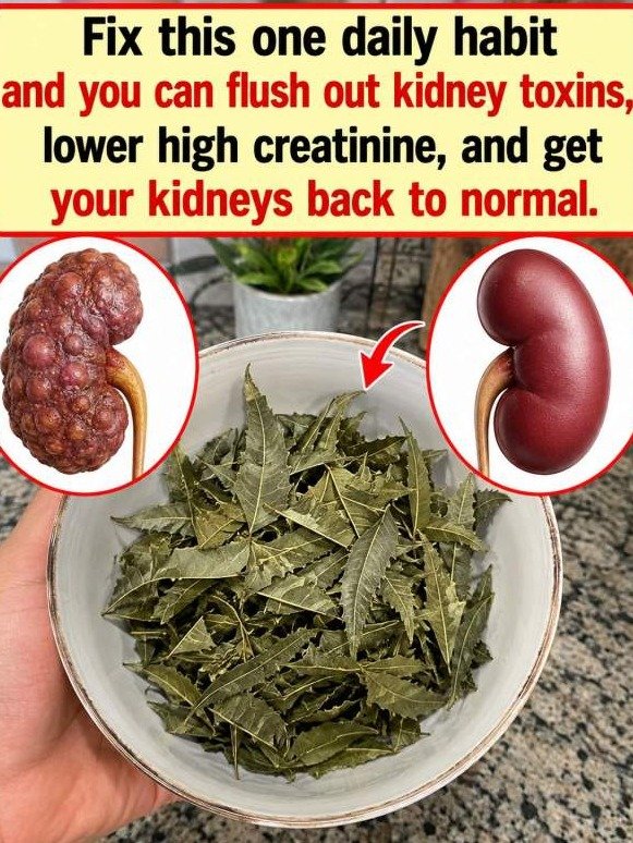 The Secret 'Green Leaf' Ritual That Could Help Flush Your Kidneys and Restore Your Energy