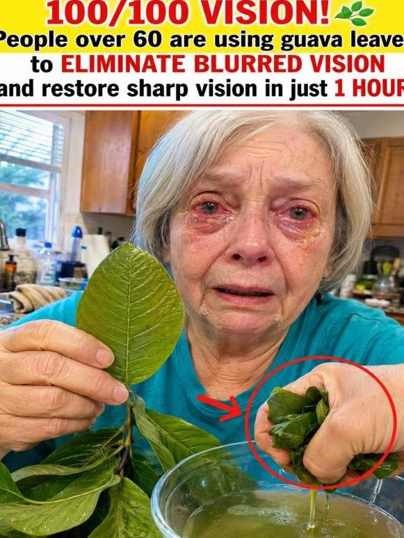 Is Your Vision Fading? Why This Humble Leaf is Quietly Rewriting the Rules of Aging Eyes