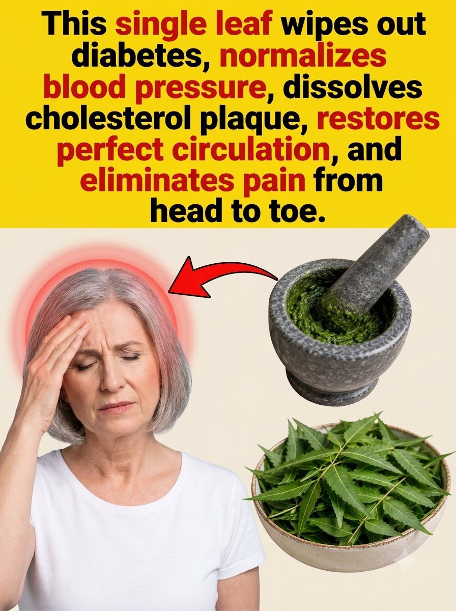 The Bitter Truth: This Forgotten Leaf Triggers a FULL Body Reset That Will Shock You!