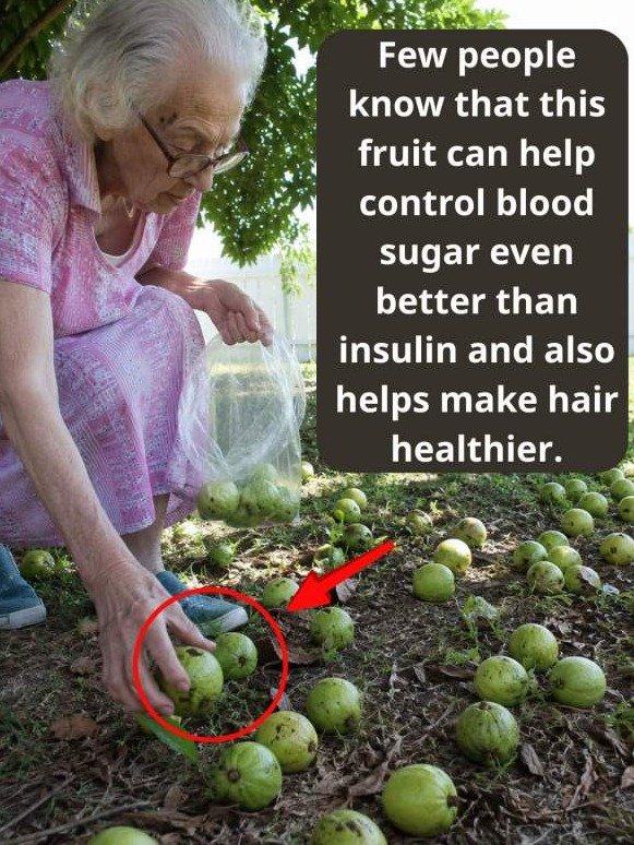 The Forgotten Fruit That CRUSHES Blood Sugar Spikes: Why Guava Is Your New Secret Weapon