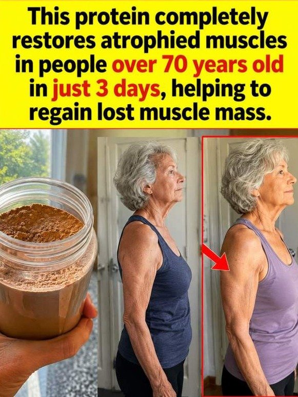 The 3-Day Muscle Miracle: How This Forgotten Protein Rebuilds Atrophied Muscles After 70 – You Won't Believe the Speed!
