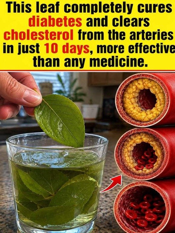 The Daily Leaf Ritual That Could 'Scrub' Your Arteries and Reset Your Blood Sugar