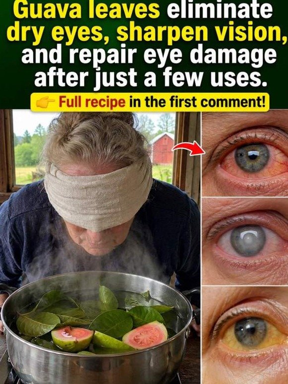 The Shocking Truth About Guava Leaves and Your Tired Eyes: What Happens Inside Your Lids