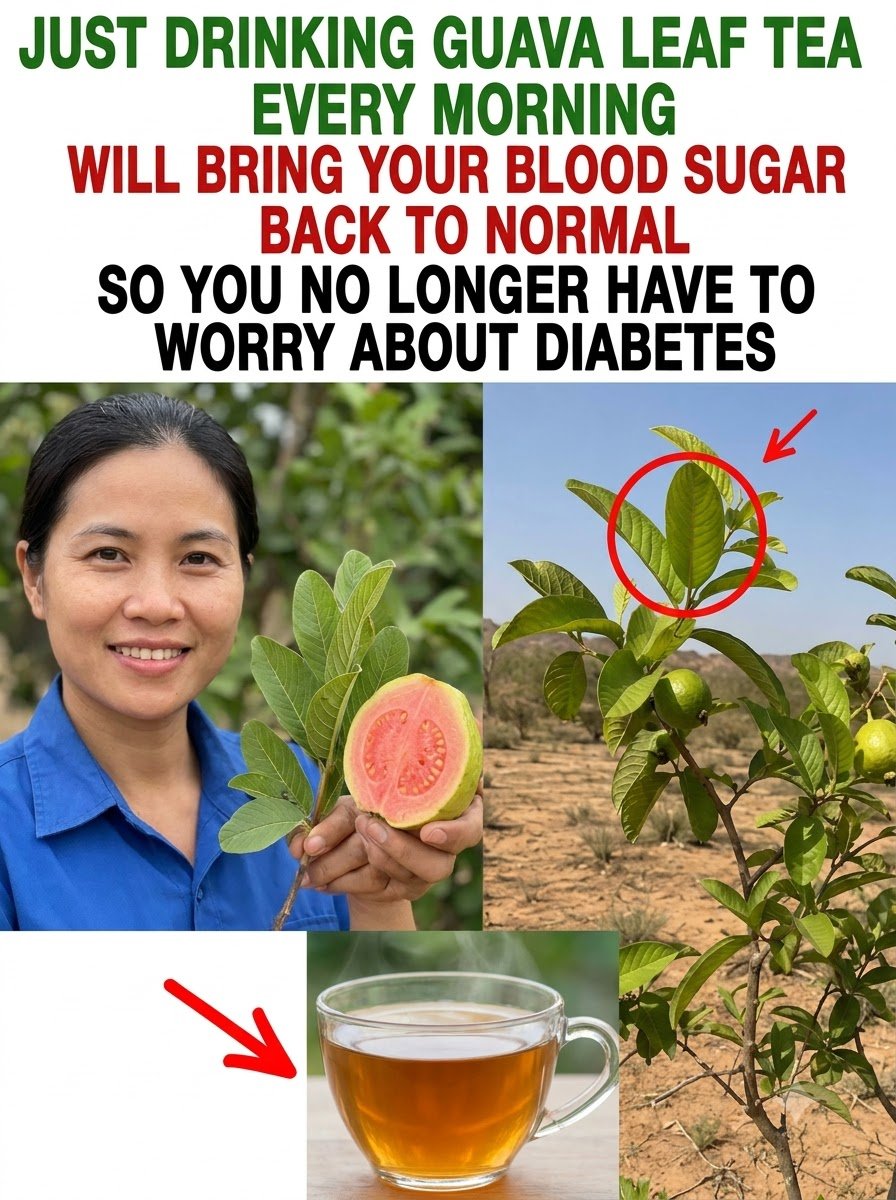 The ONE Ancient Leaf That FORCES a Blood Sugar Reset (And Why 99% Are Still Missing Out)
