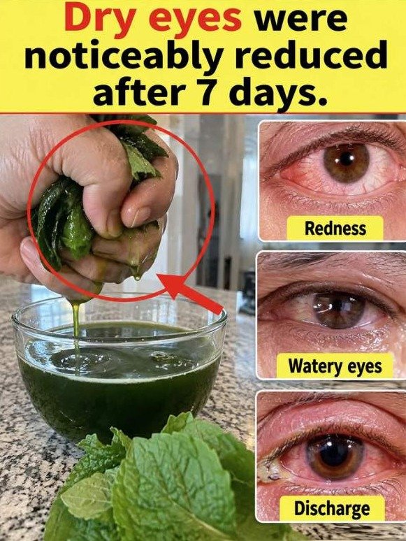 The 7-Day Eye Secret Doctors Won’t Mention: Eyebright Flushes Away Dry, Red, Watery Eyes for Good