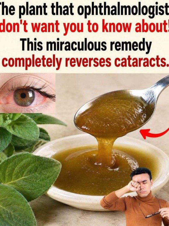 Blurry Vision No More? Uncover the SHOCKING Eye-Clearing Power of Oregano You Need to Know NOW