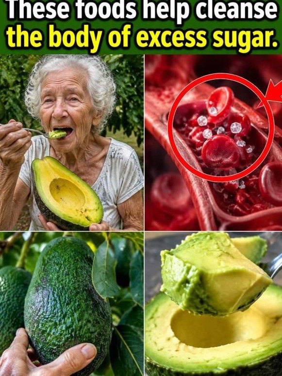 Forget Everything You Knew: These 5 Everyday Foods Don't Just 'Help' — They ACTIVELY FORCE Sugar Out of Your Bloodstream FAST!