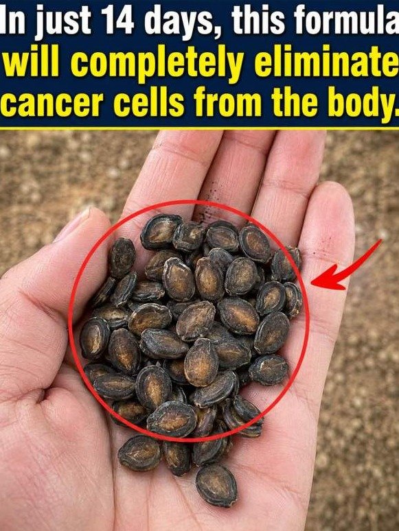 The Deadly Secret Hiding in Your Apple: Why This 'Cancer Cure' Myth Is Actually a Cyanide Trap You MUST Avoid