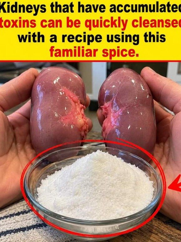 The Stone-White Kitchen Spice Everyone Underestimates—And Why Its Kidney Claims Deserve a Closer Look