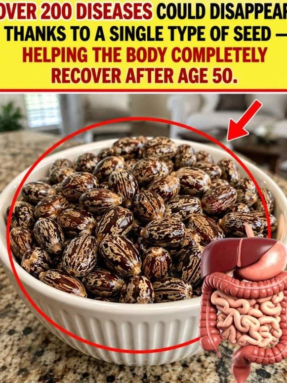 The Humble Seed Hiding in Your Pantry That Could Solve Over 200 Chronic Health Problems