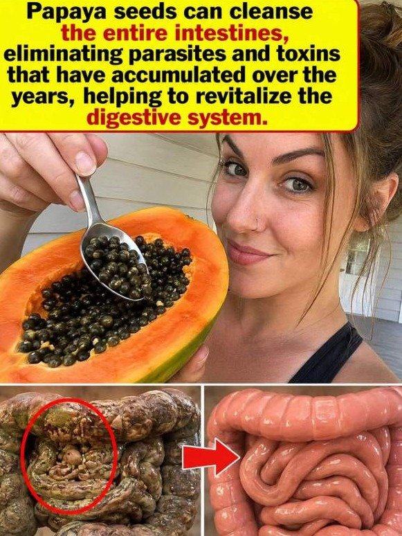 Stop Throwing Them Away: The Bitter 'Seed' That Acts Like a High-Powered Gut and Liver Reset