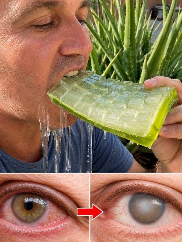 Blurred Vision? The Shocking Truth About Aloe Vera: It's NOT a Miracle Fix, But This Is What It *Actually* Triggers