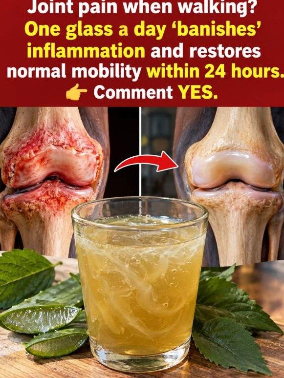 Knee Pain Breakthrough: This ONE Hidden Leaf Triggers a 'Joint Flush' That Melts Swelling & Stiffness FAST!