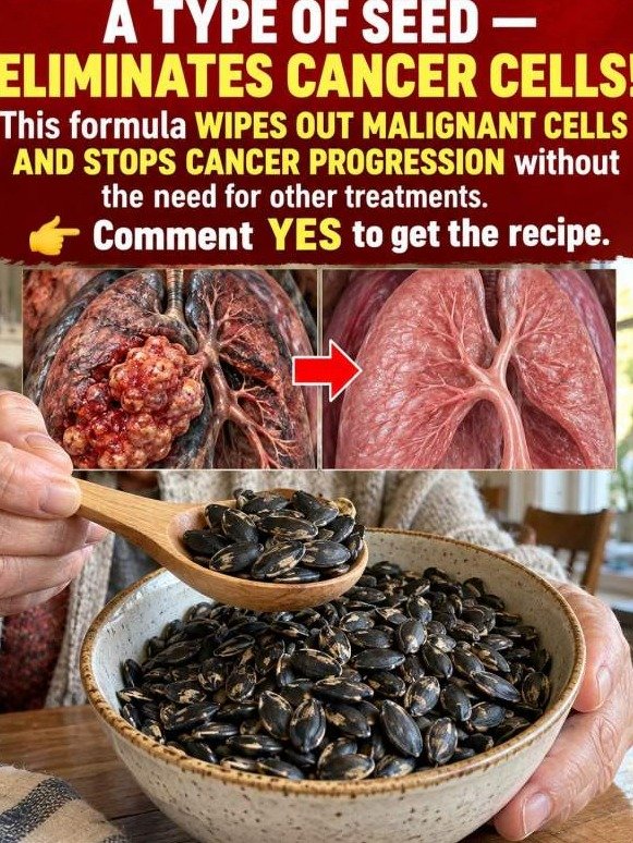 The #1 Tiny Seed That Triggers a TOTAL Cellular 'Sweep' for Your Eyes & Blood: Why You're Missing Out!