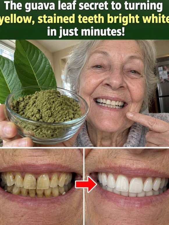 Unlock a Brighter Smile & Fresher Breath: The Ancient Leaf Secret That Transforms Your Mouth (Before Everyone Else Knows!)