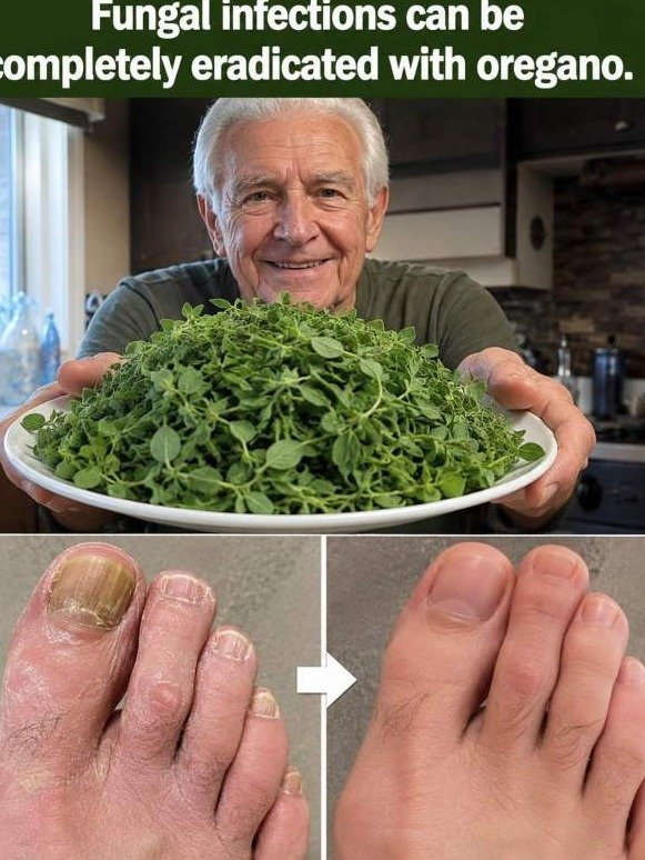 The Hidden Gut Reset: Why Oregano, Garlic & Cinnamon Could Transform Your Body Overnight