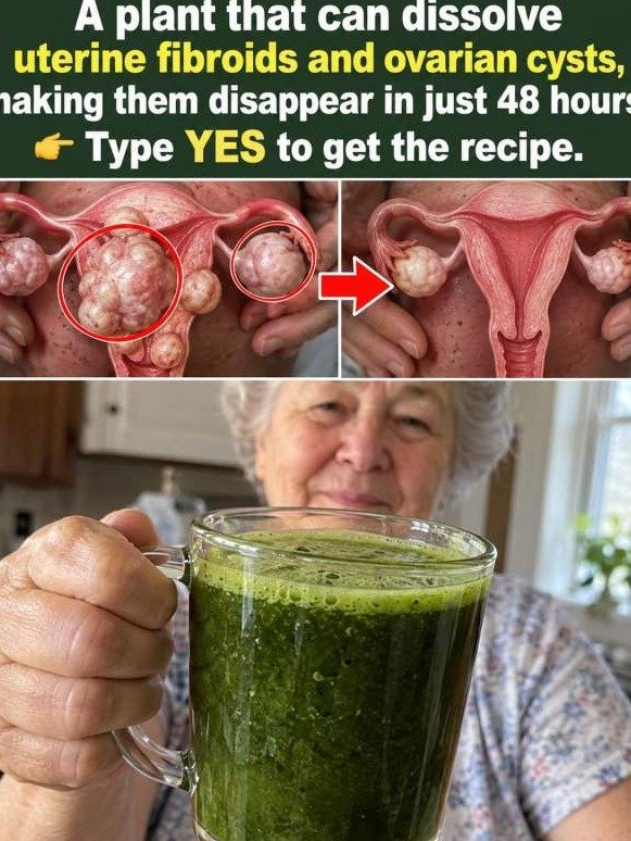 Fibroids & Cysts: The UNSEEN Shift This Green Drink Triggers INSTANTLY Inside Your Pelvis