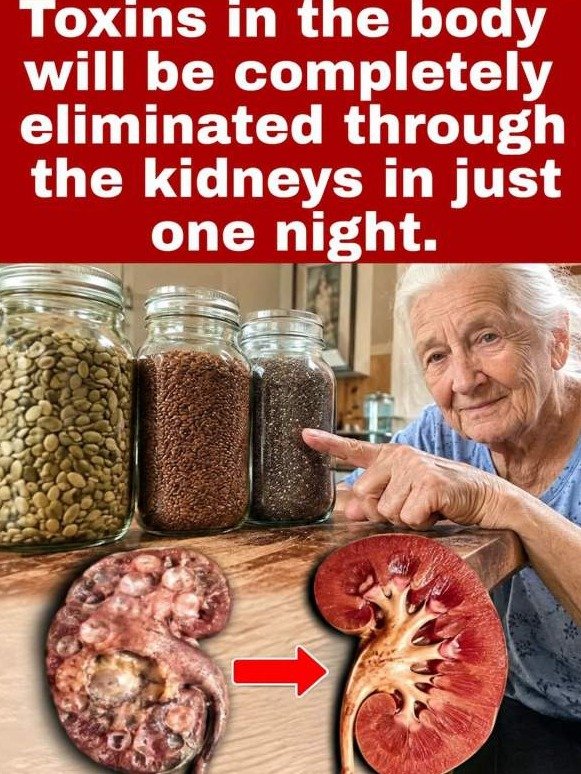 The 3 Everyday Beans That Can FLUSH Your Kidneys Clean (And The Hidden Mistake Sabotaging Your Health!)
