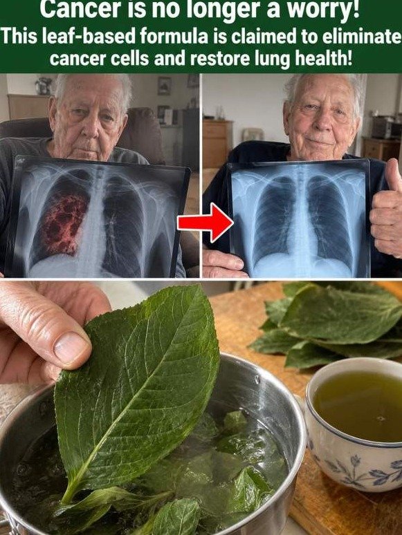 The ONE Green Leaf That Could Force Tumors to Starve – But Are You Preparing It All Wrong?
