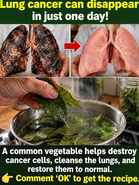 The ONE Hidden Leaf That Forces a 'Total Lung Reset' in Aging Bodies (And Why You've Never Heard Of It)
