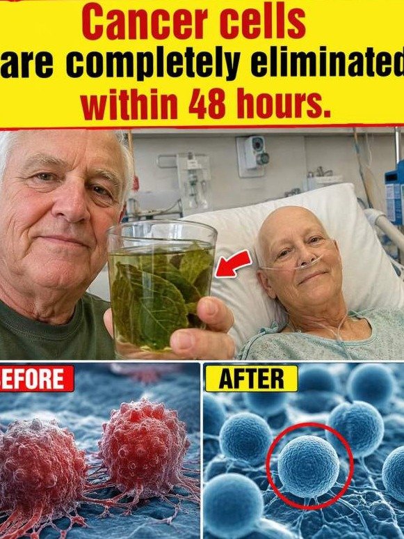 WARNING: The Soursop '48-Hour Cancer Miracle' Is Hiding THIS Dangerous Reality