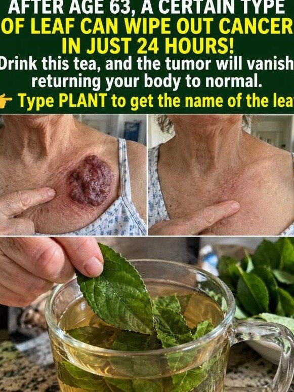 The Secret Tea People Over 63 Are Whispering About For Untapped Energy (You'll Wish You Knew Sooner)