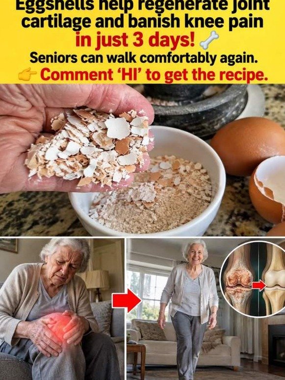 Stiff Knees? The ONE Hidden Eggshell Secret Your Body Is Desperate For (Don't Miss This!)
