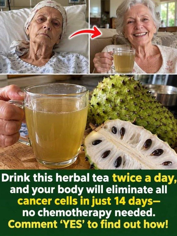 THIS Tropical Fruit Triggers a Full Cellular Cleanout You'll FEEL in Days (Don't Miss Out!)