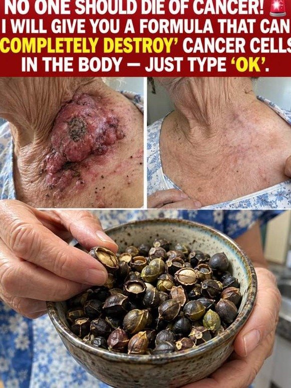 WARNING: The 'Healthy' Apple Seed Lie – What REALLY Happens When Cyanide Hits Your Body