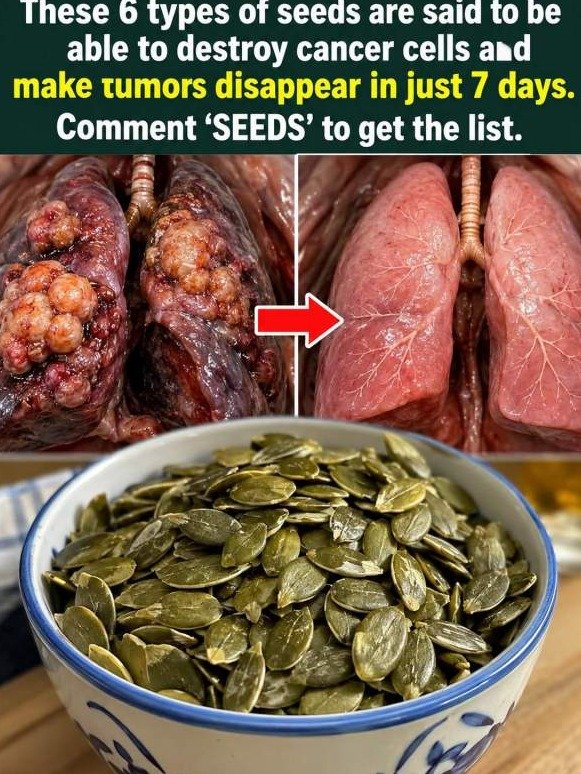 The 6 Tiny Seeds That Force Your Body to Clean Up Decades of Damage (And Why You Need Them Now)